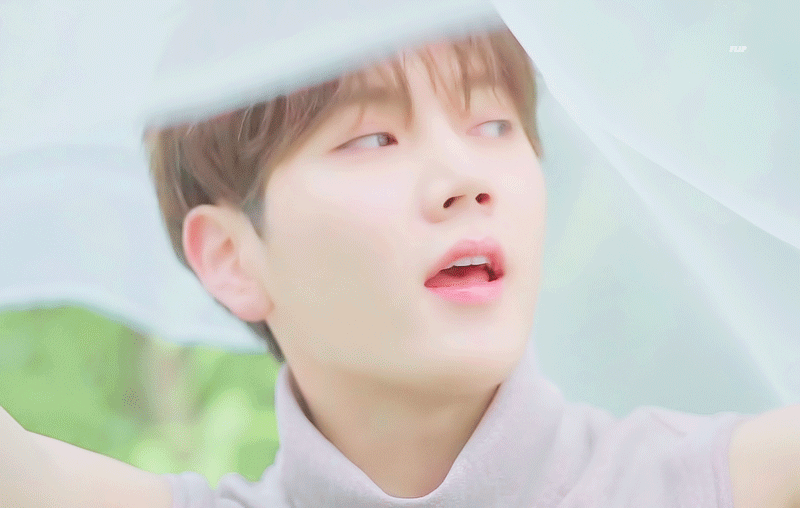 뉴이스트 랜첨 맞으면 들튀 | 인스티즈