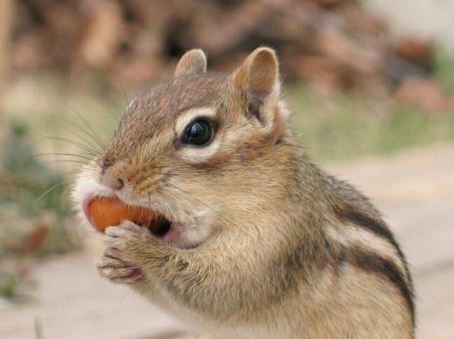 랜덤이진혁 | 인스티즈