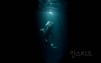 해양공포증(Thalassophobia)인지 아닌지 시험해보는 사진들 | 인스티즈