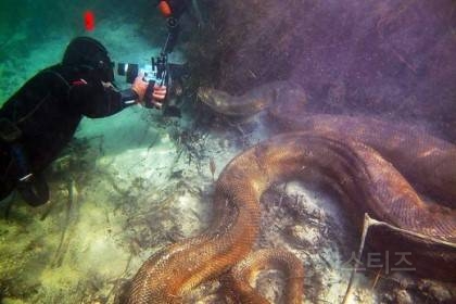 해양공포증(Thalassophobia)인지 아닌지 시험해보는 사진들 | 인스티즈