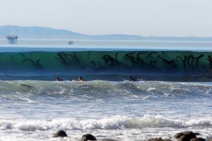 해양공포증(Thalassophobia)인지 아닌지 시험해보는 사진들 | 인스티즈