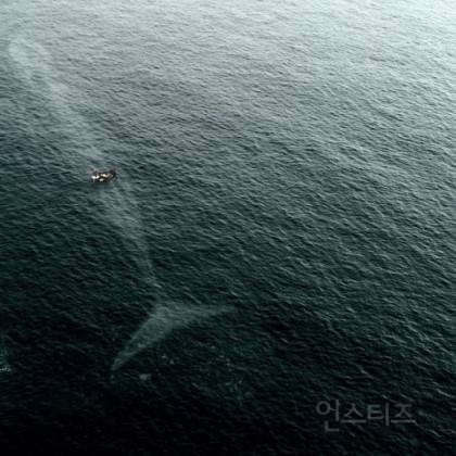 해양공포증(Thalassophobia)인지 아닌지 시험해보는 사진들 | 인스티즈