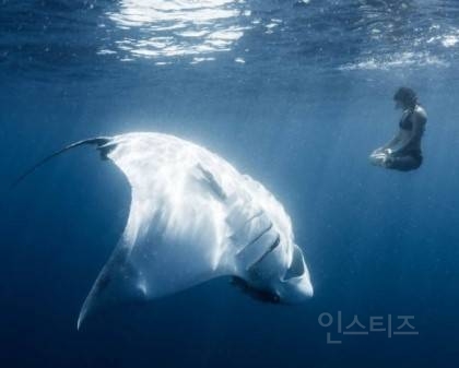 해양공포증(Thalassophobia)인지 아닌지 시험해보는 사진들 | 인스티즈