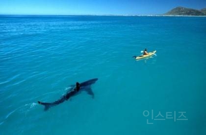 해양공포증(Thalassophobia)인지 아닌지 시험해보는 사진들 | 인스티즈