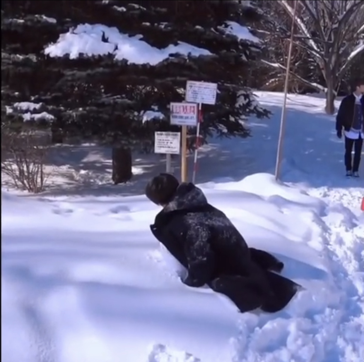 ㄹㅊ1리더 2메댄3메보4메랩5비담 | 인스티즈