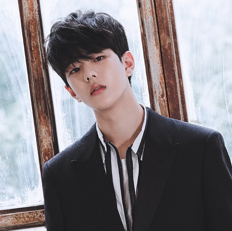 ㄹㅊ 골차 1 치킨 2가 뺏어먹어서 1이 화냄 | 인스티즈