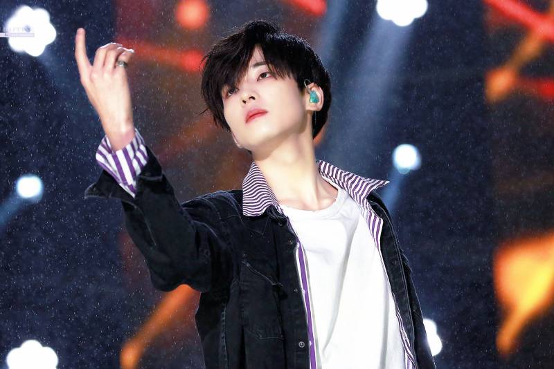 ㄹㅊ 1 고양이 2 강아지 3 다람쥐 | 인스티즈