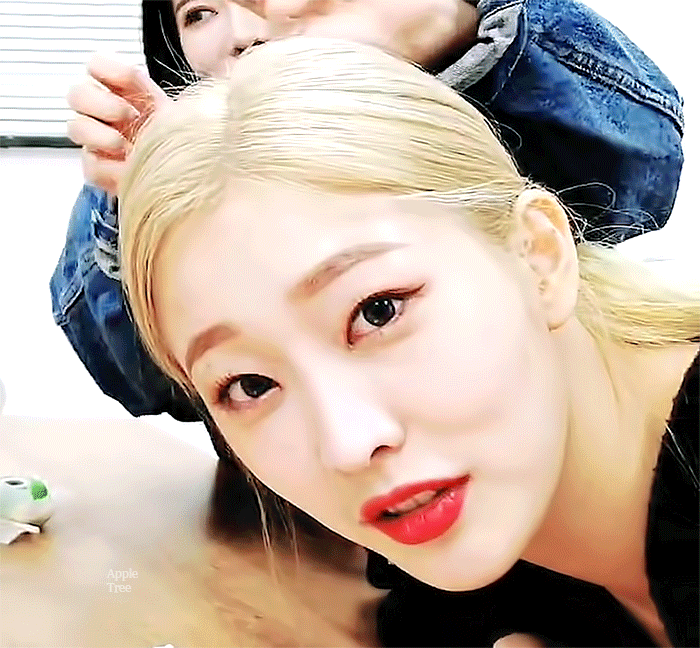 쓰니의 오늘 최차애는 누구일까 ㄹㅊx2 | 인스티즈