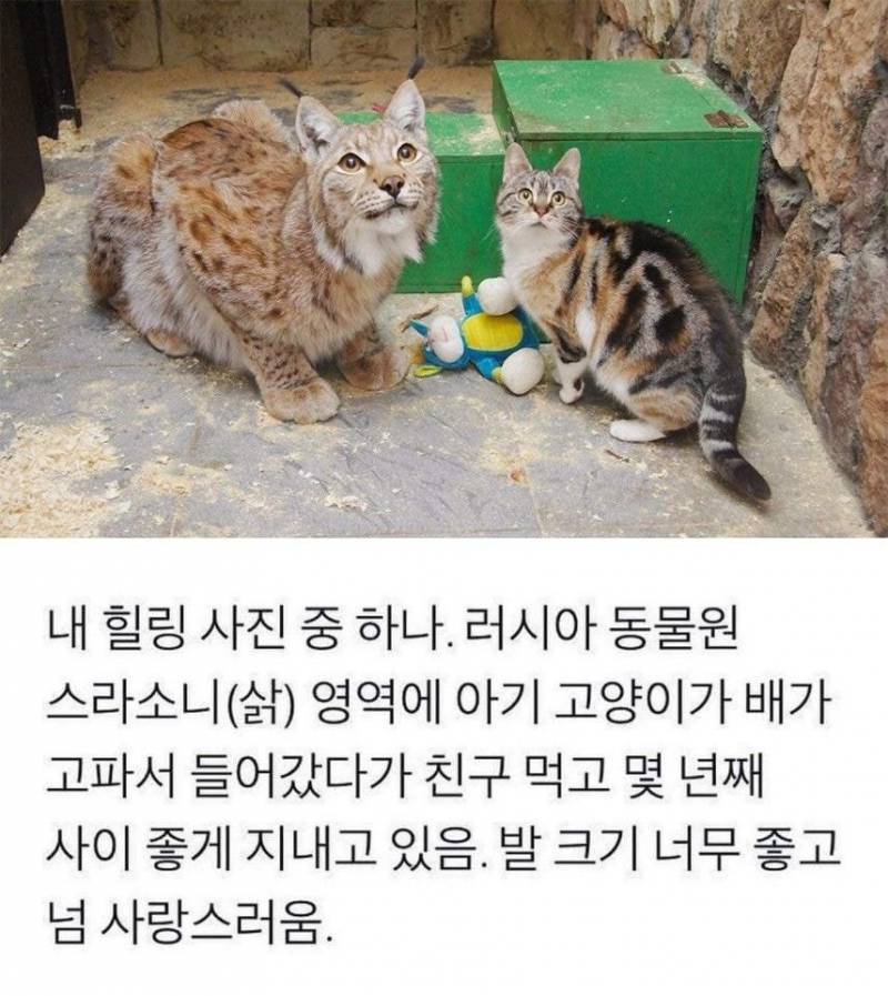 아거 힙딥이지ㅜㅜㅜㅜ(사진주의)ㅍㅍ | 인스티즈