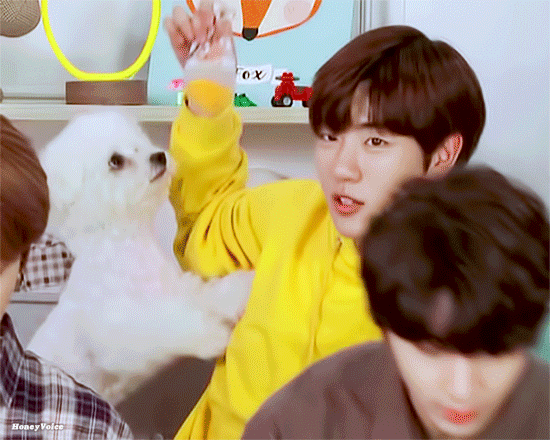 나도 골차 ㄹㅊ 할래 | 인스티즈