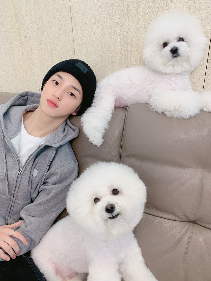 ㄹㅊ 골차 1 텐션 2가 못따라감 | 인스티즈