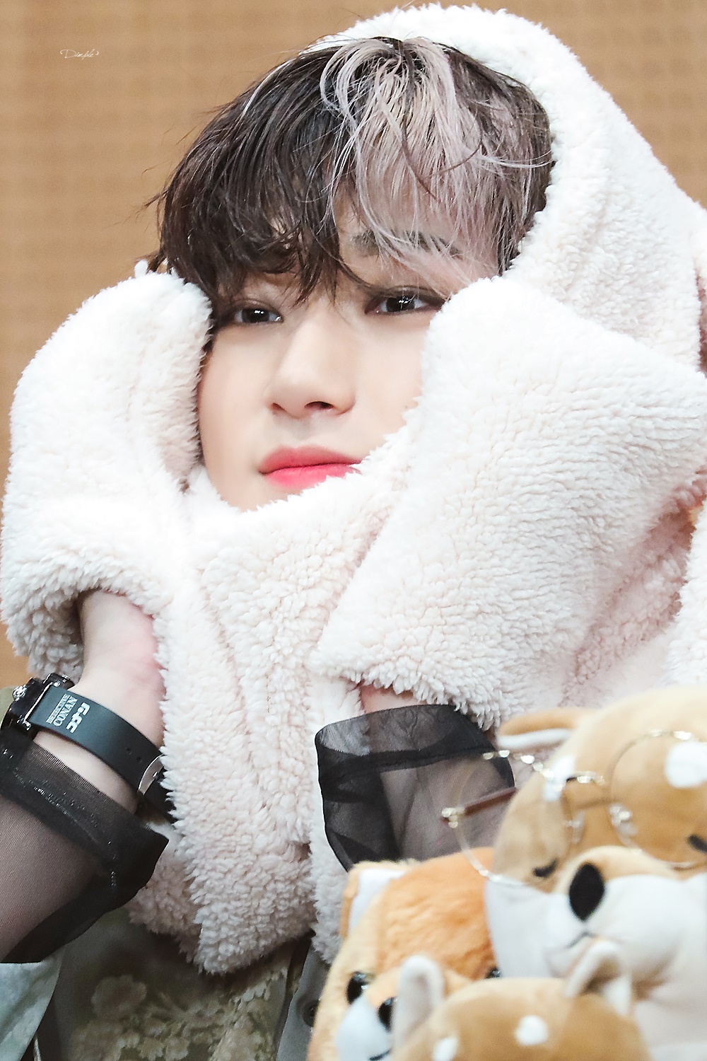 [잡담] ㄹㅊ 들튀 | 인스티즈