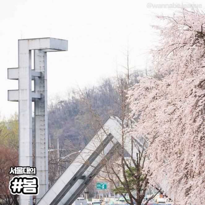 SKY 대학교 캠퍼스의 사계절.jpg | 인스티즈