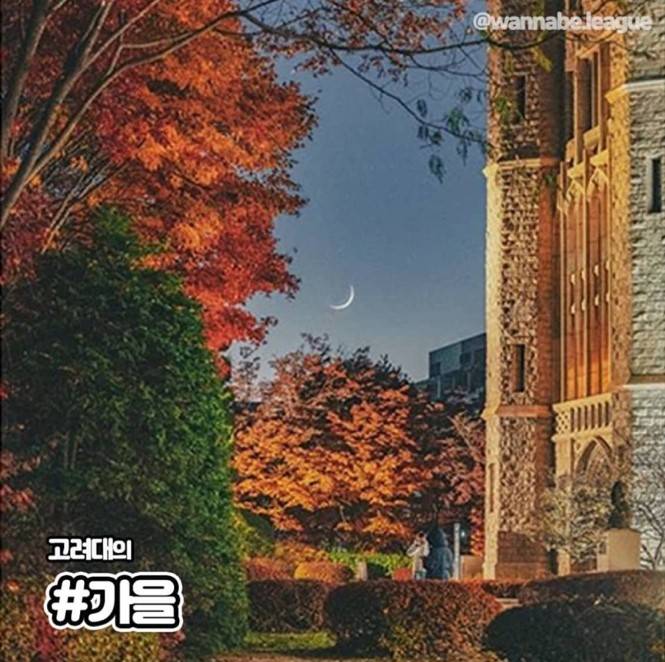 SKY 대학교 캠퍼스의 사계절.jpg | 인스티즈