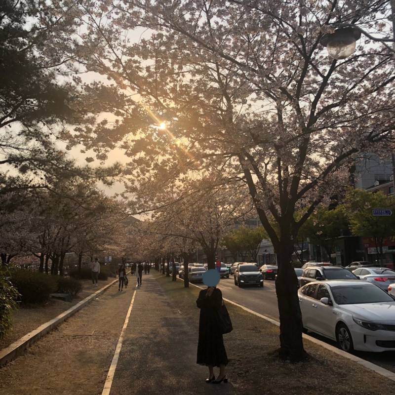 🌷원피스/ 청치마/ 반바지 판매🌷 | 인스티즈