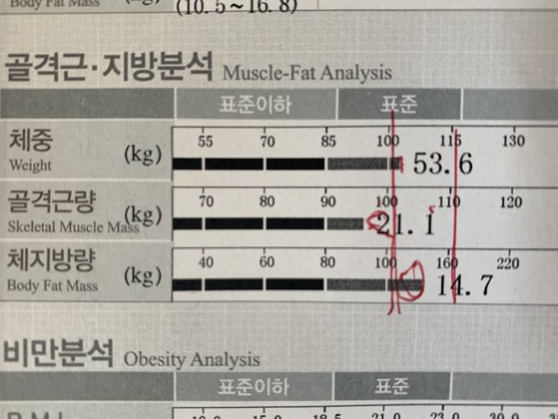 1년여만에 잰 인바디 비교! | 인스티즈