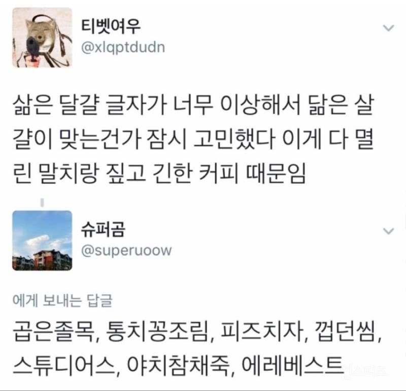 뇌를 강제로 죽이는 단어들 | 인스티즈