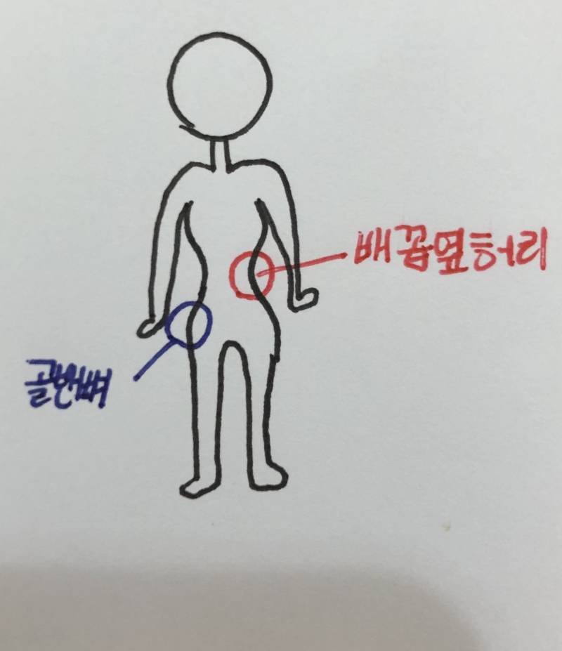 러브핸들이라는 부위가 정확히 어디야??? | 인스티즈