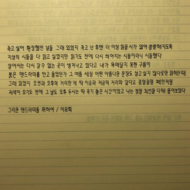 필사기록 / 웹툰 명대사 / 글귀 / 글 | 인스티즈