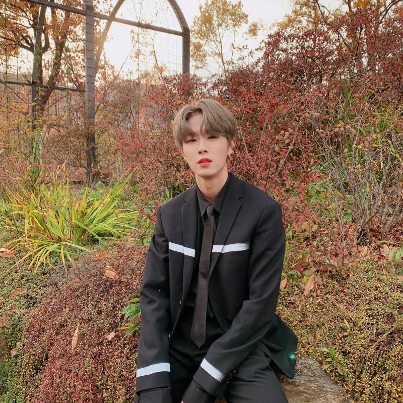 골차 ㄹㅊ 온콘 토크타임때 1 말듣고 2 빵터지기 | 인스티즈