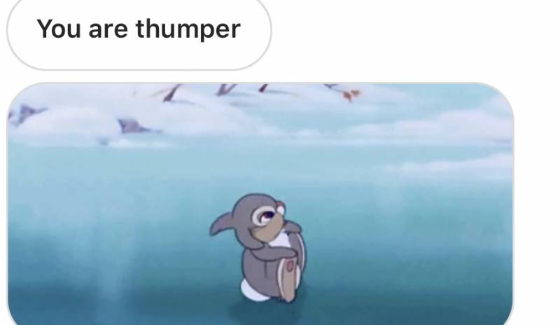 미국썸남 Thumper 뜻 알아왔어!!!!!!!!!!!!!!! | 인스티즈