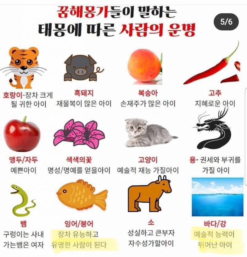 아니 태몽 이거 여상이잖아 | 인스티즈