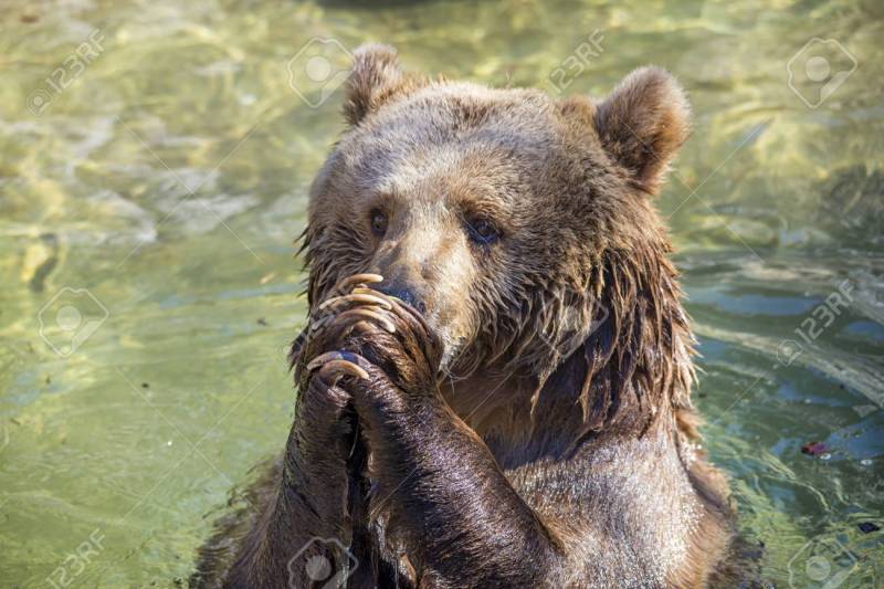 한국시리즈를 위해 다들 기도하고 가자🐻🙏 | 인스티즈