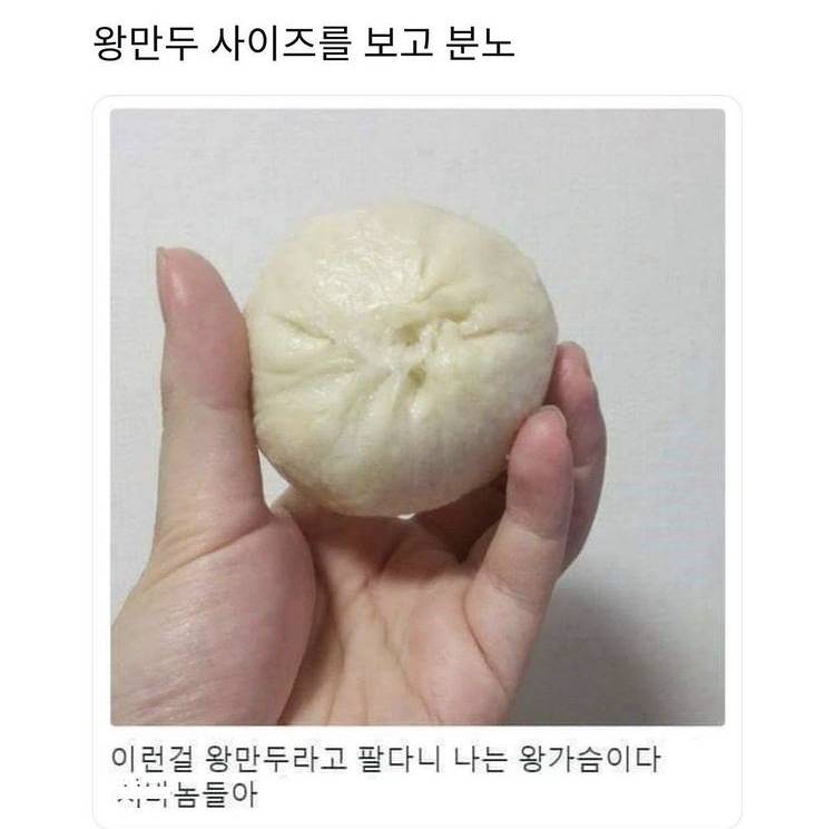 나는 왕가슴이다 - 인스티즈(Instiz) 익명잡담