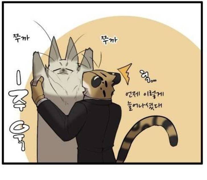 고양이 아가씨와 경호원들 제발 봐줘 | 인스티즈