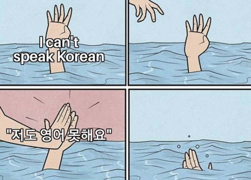 한국에 사는 외국인들이 만든 밈 봤어??ㅋㅋㅋㄱㅋㅋㄱㅋㄱㅋㅋㅋㅋㅋㅋ | 인스티즈