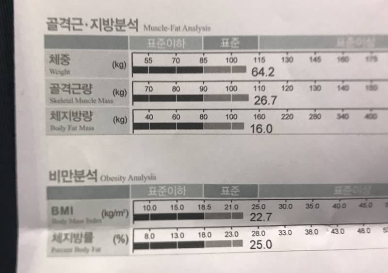 168/64 보통 통통 뚱뚱 중에 머ㅓ야??? | 인스티즈