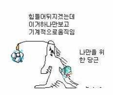 이벤트 기념 메이플 짤 뿌려요 | 인스티즈