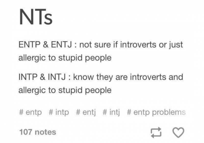 mbti 가운데 nt유형들이 멍청한사람을 유독 싫어한다는데 여기서 | 인스티즈