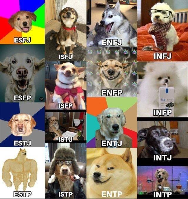 MBTI 짤 모음1 - 인스티즈(instiz) 일상 카테고리