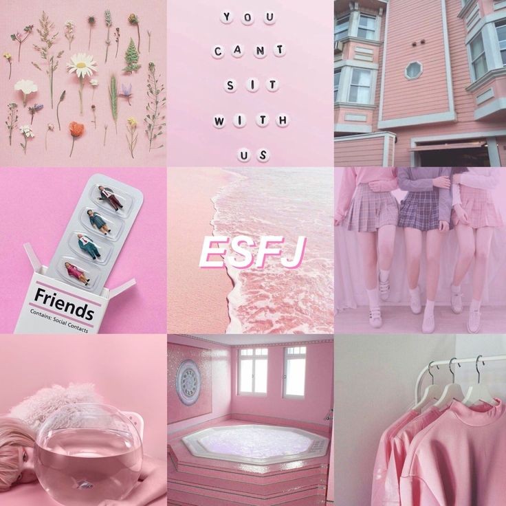 🤪 ESFJ 밈 모음모음 🤪 | 인스티즈