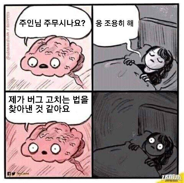 코딩 카테고리 동적 할당 기념 짤방 나눔 | 인스티즈