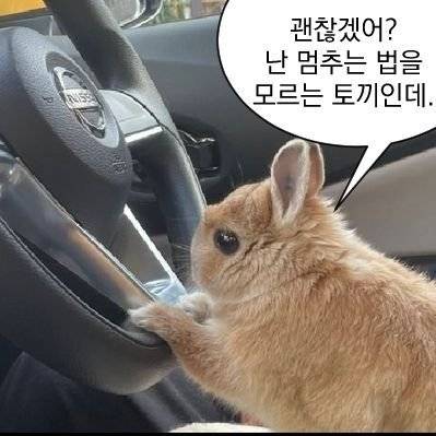 ㄱ 미필고 드씨 아직 허보라 안뜨는거 보니까 아직 끝난거 아니겠지?.. | 인스티즈