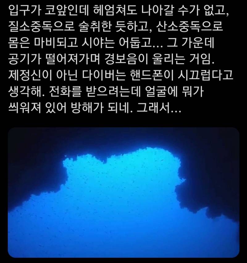 [잡담] 다이버들(잠수) 관련해서 봤던 것 중에 젤 무서웠던 거 | 인스티즈