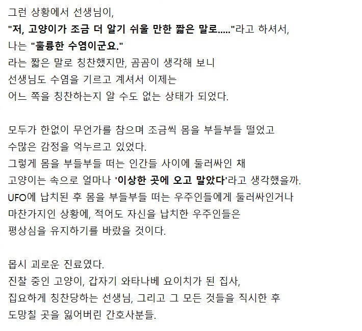 고양이 진찰받으러 갔다가 울 뻔한 이야기 | 인스티즈