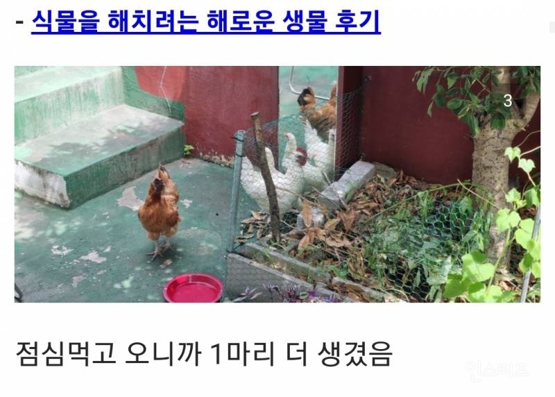 오늘도 평화로운 식물 갤러리.jpg | 인스티즈