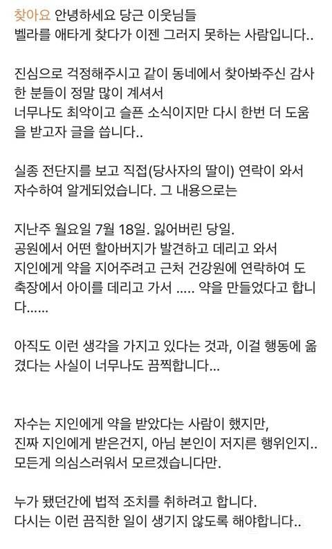 당근마켓에 올라온 실종된 강아지의 결말 | 인스티즈