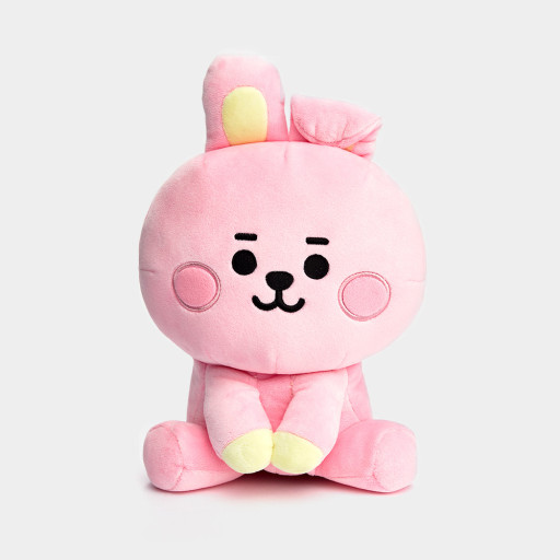 [장터] bt21 치미 쿠키 시팅 20cm 싸게 양도받을 사람!? | 인스티즈