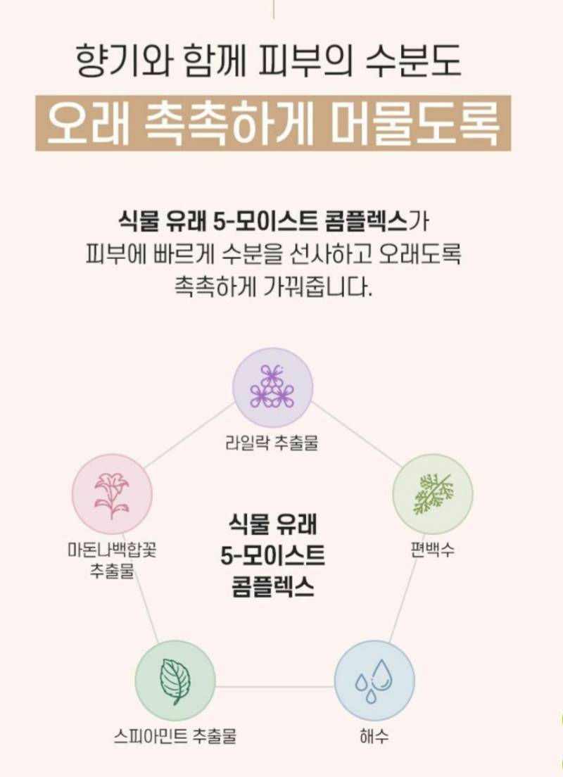 라운드어라운드 포레스트 센티드 바디미스트 | 인스티즈