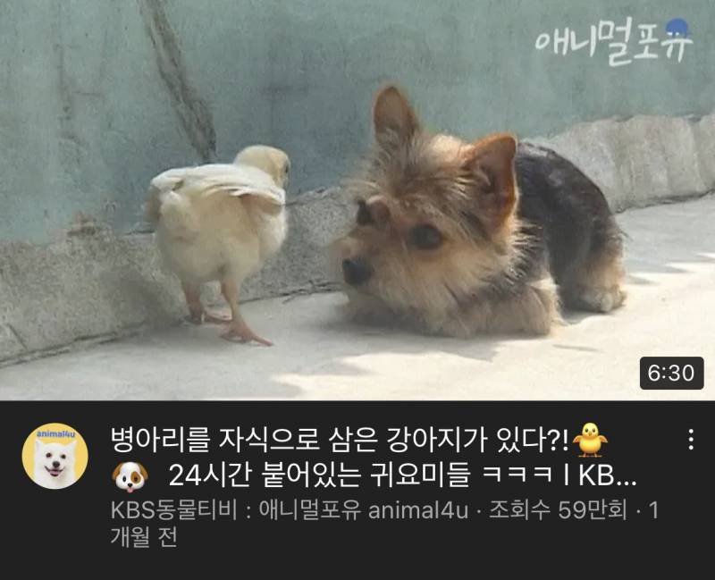 귀여운 사진이 첨부되어 있는 글입니다 | 인스티즈