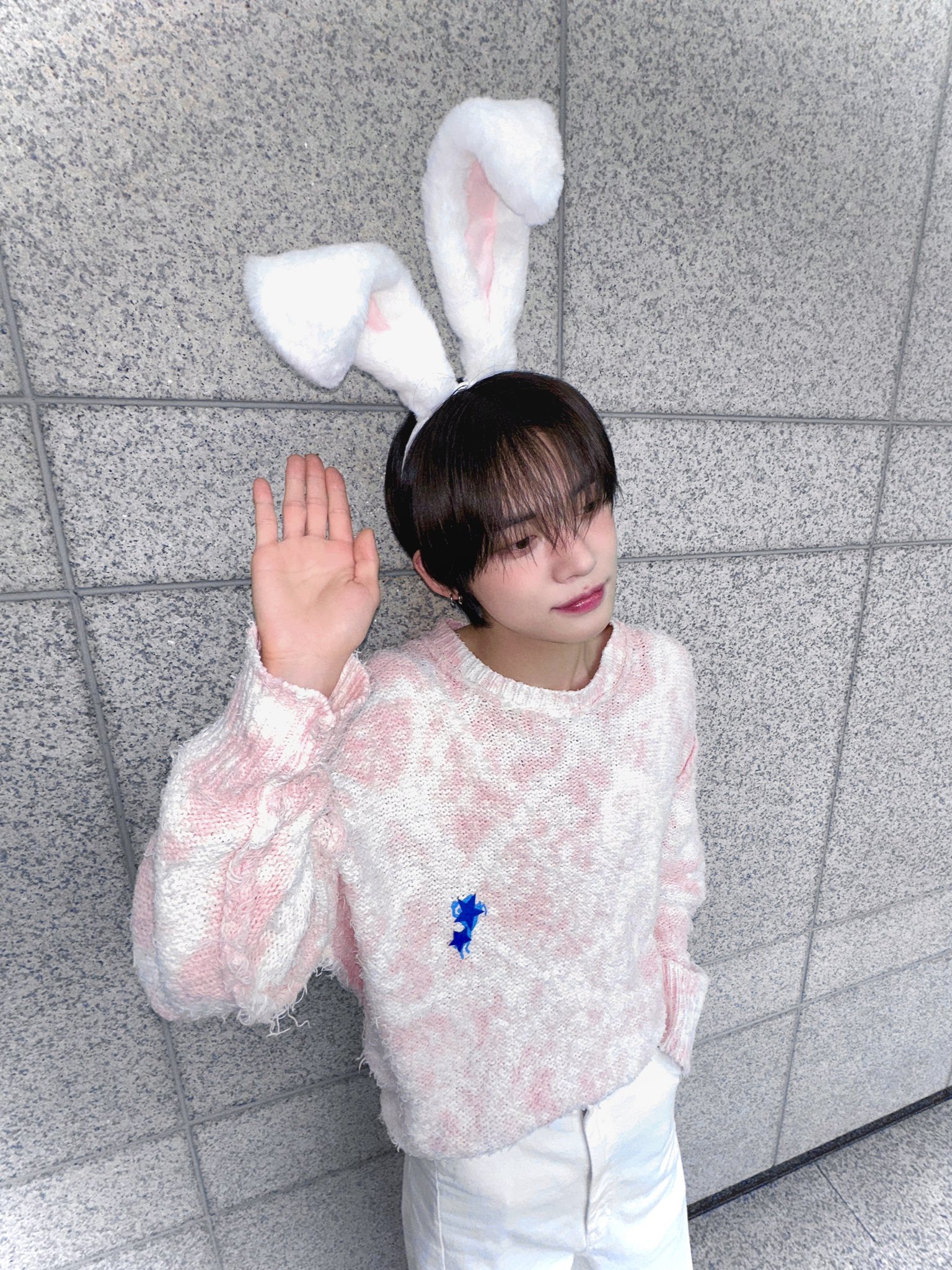 [잡담] 토..토끼..꼬리...?🐰🐇 | 인스티즈