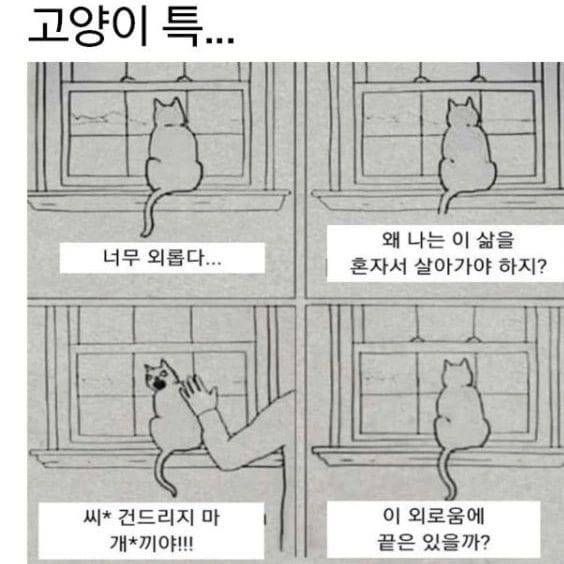 이짤 완전 크리스잖앜ㅋㅋㅋㅋㅋ | 인스티즈