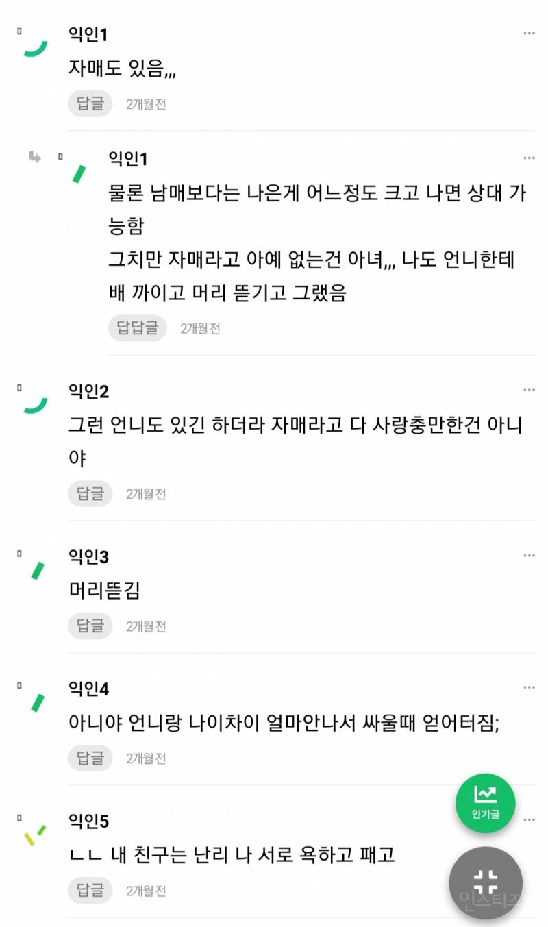 나 진짜 언니있는 애들 부러운게 폭력없는거 ㄹㅇ | 인스티즈