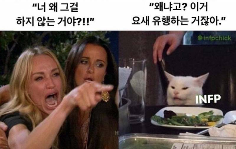 인프피 인생 짤모음.jpg | 인스티즈