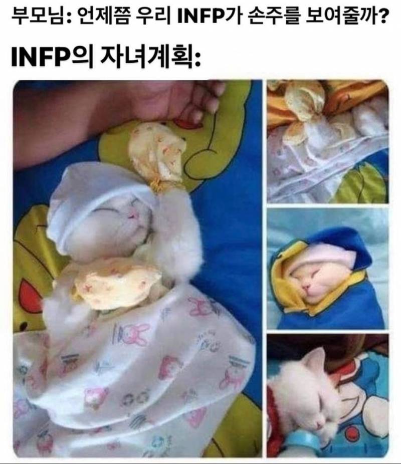 인프피 인생 짤모음.jpg | 인스티즈