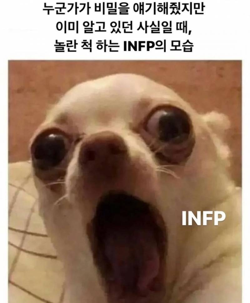 인프피 인생 짤모음.jpg | 인스티즈